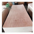 2.5mm 3.2mm 4.5mm 5mm Modern Eco-Friendly E1 Bintangor Plywood Plate
