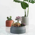 Nordic Simple Design Cement Large Size Planter Pot Huge Flower Pot for Home Garden Decor