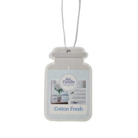 Custom Logo Car Air Freshener with Long Lasting Scents Paper Hanging Design with Music & Angel Style Promotional Item