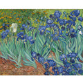 Famous Abstract Flower Landscape Printed by Numbers DIY Painting Starter Kits Handwork Acrylic Paint on Canvas for Home