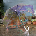 Popular Products Gold Sincerity Enterprise Jing Pin Wholesale Rain 23" Colorful Adults Umbrellas Wholesale