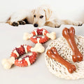 Modern Eco-Friendly Nylon Cartoon Vocal Dog Chew Toy Bone Aggressive Chewers Puppy Dental Care Chewer Toys TPR Material for Pet