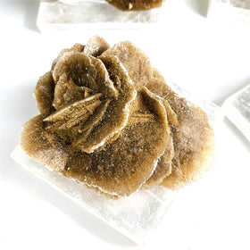 Wholesale Nature Crystal Healing Stones Raw Desert Rose Specimen Fengshui Minerals for Decoration