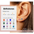 EManco Classic Minimalist Tiny Stud Earrings Stainless Steel 14K Gold Plated 12 Birthday Stones Zircon Ear Studs for Women