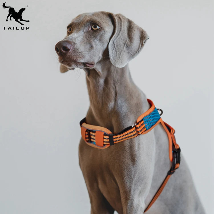 For TAILUP Sport Style Soft Harness for Dogs Breathable Safe Mesh with Reflective Quick Release Feature Neck Padding Never Choke
