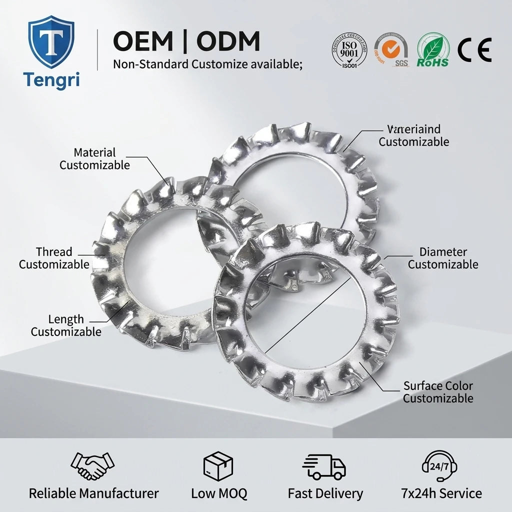 Factory Price DIN 6798 J Stainless Steel External Teeth Serrated Plain Surface Lock Washer