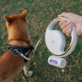 ZMaker Multifunctional Retractable Luminous Leash LED Retractable Dog Leash With Garbage Bag Box