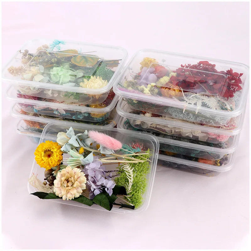 Hot Sale DIY Dried Pressed Flowers Dry Flower