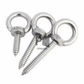 304 Stainless Steel Hanger Ring Self-tapping Screws with Round Ring Hooks Self-drilling Sheep's Eye Ring Type Wood Hanger Bolt