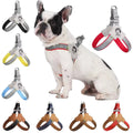 New Dog Chest Strap Breathable Mesh Pet Medium and Small Dog Leash Saddle-type Outdoor Dog Walking Leash
