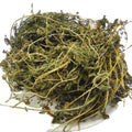 Shi Cao Popular Herb Chinese Common Yarrow Achillea Alpina Dried Plants Stem Leaf for Sale