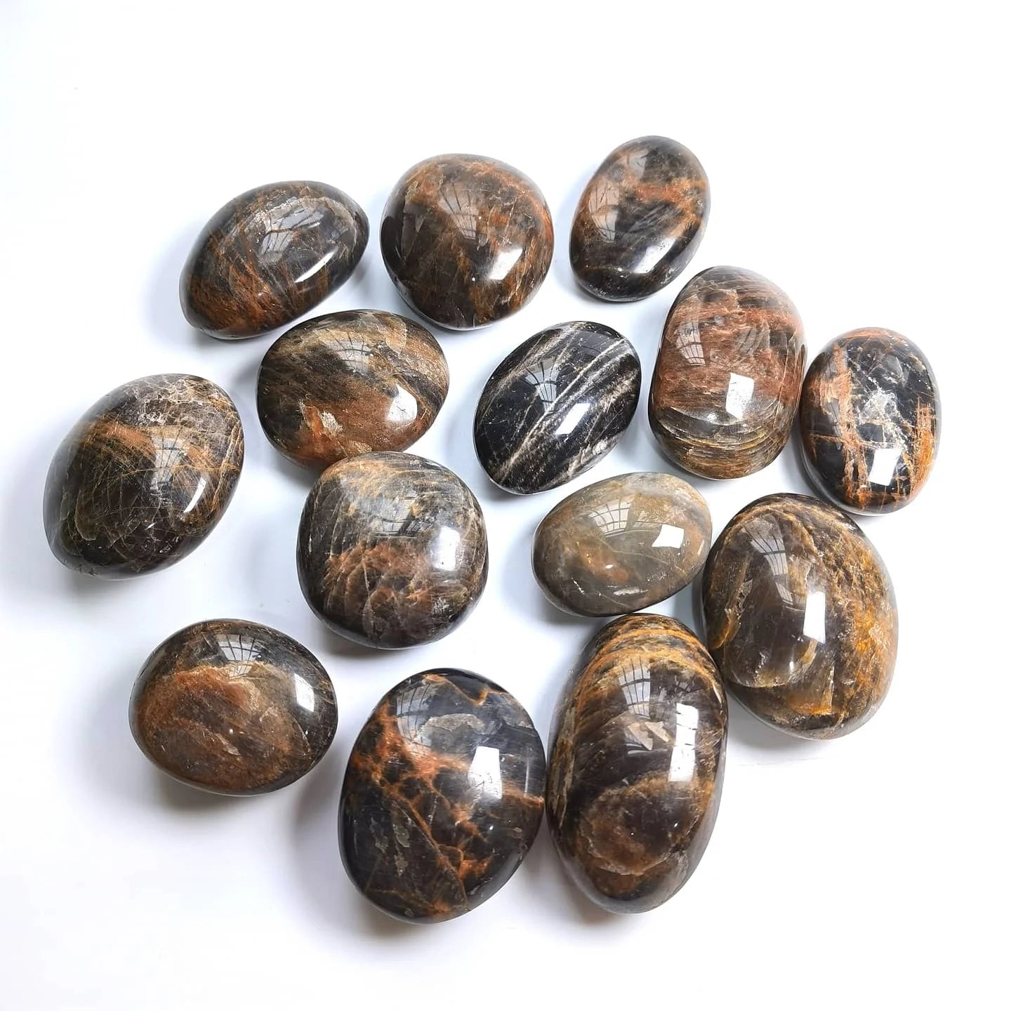 Wholesale Natural Crystals Healing Gemstones Polished Black Moonstone Crystal Palm Stone for Sale