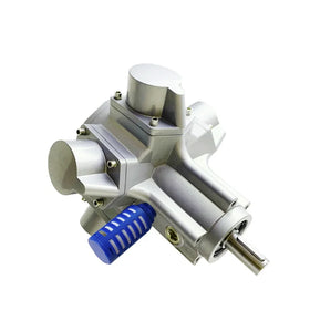 Exquisite 150 High Torque Piston Pneumatic Motor 1.5HP Basic Motor