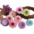 Austin Roses Eternal Roses Long Lasting Preserved Flowers for Valentine's Day and Mother's Day From David Austin Rose Boutique