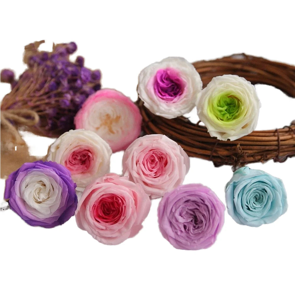 Austin Roses Eternal Roses Long Lasting Preserved Flowers for Valentine's Day and Mother's Day From David Austin Rose Boutique