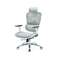 New Design Height Adjustable Ergo Mesh Ergonomic Office Chair With Lumbar Support