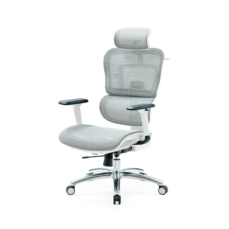 New Design Height Adjustable Ergo Mesh Ergonomic Office Chair With Lumbar Support