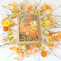 SZ04 Wholesale Dried Floral Arrangements Multi Dried Flower Material Bag Dry Preserved Mixed Flowers Bag DIY Dried Flowers Box