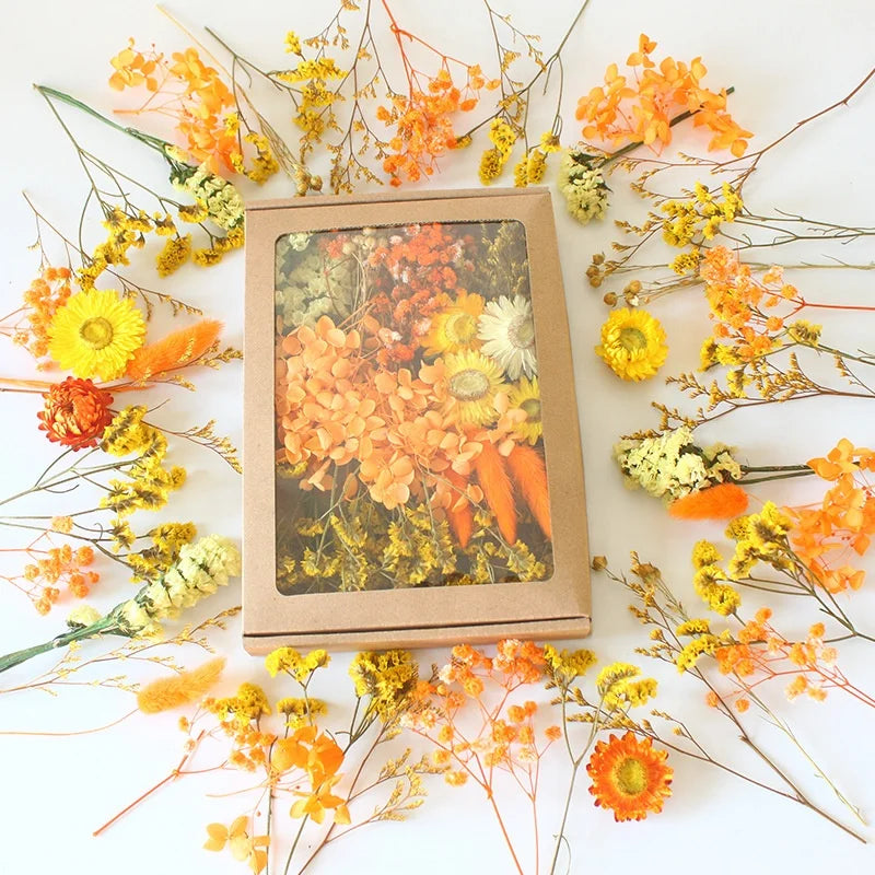 SZ04 Wholesale Dried Floral Arrangements Multi Dried Flower Material Bag Dry Preserved Mixed Flowers Bag DIY Dried Flowers Box