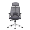 NOEL New Design Height Adjustable Armrest Office Chairs for Office Furniture Used