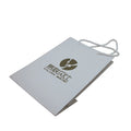 Customizable Cotton Handle Shop Bag with Logo Printing Any Size Electronic Product Packaging Paper Bag