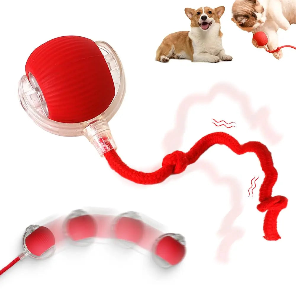Interactive Rolling Ball Cat Toy Durable TPR and Plush Material Self-Hi Relieve Boredom Squeaky Sound Pet Toy for Cats Dogs Toys