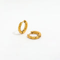 Fenny 18K Gold-plated Wholesale Tarnish Free Simple Vintage Half Twisted Huggie Stainless Steel Earring for Women