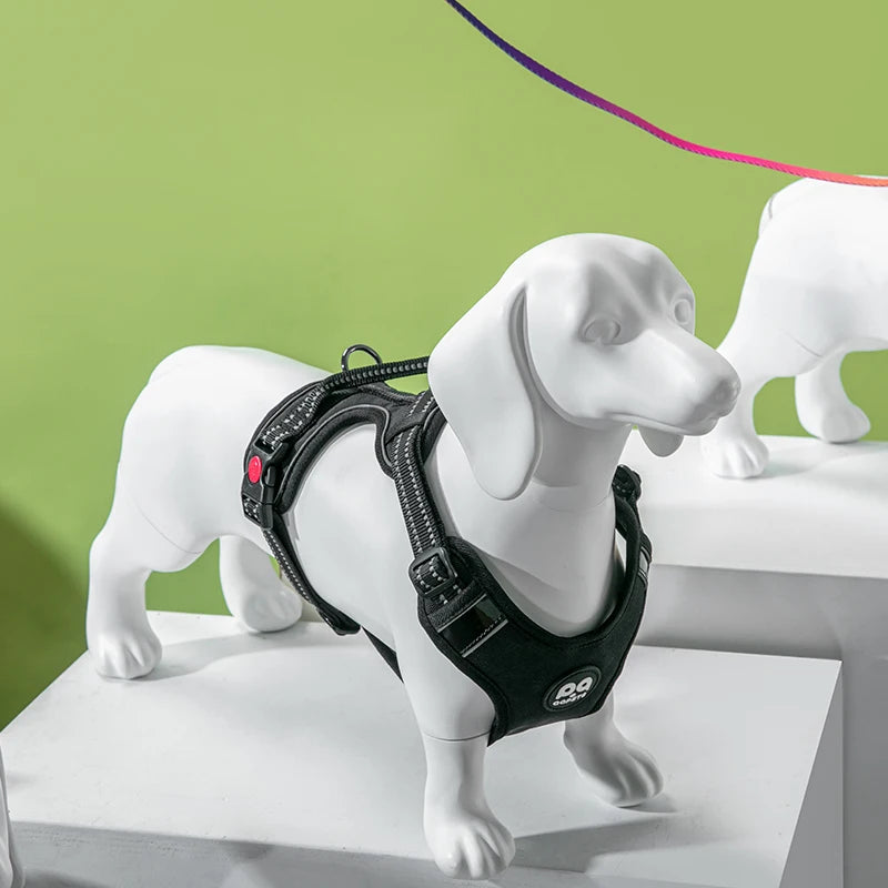 China Full Body Dog Mannequin Pet Clothes Display Stand Fiberglass Stand Dachshund Dog Model