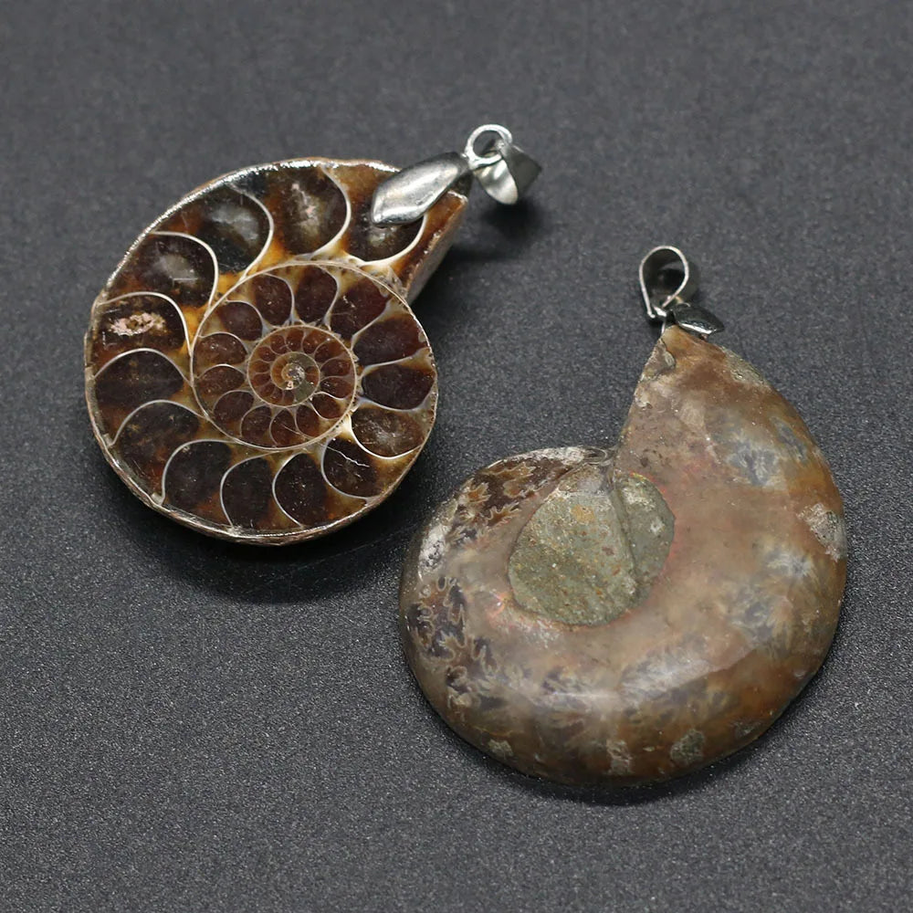 Healing Shell Mineral Gemstone Fossil Pendant Spiritual Reiki Quartz Crystal Energy Ammonite Feishui Pendant for Valentine's Day