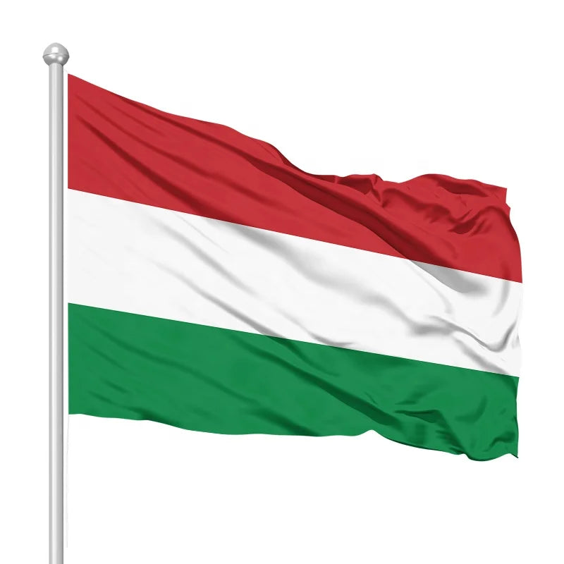 Promotional Product Popular 3x5ft Thick 100% Polyester Fabric Hanging Red White and Green Flag Outdoors