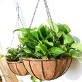 Hot Selling Outdoor Decoration Wall Hanging Flower Basket Iron Flowerpot 8''-16'' Coconut Palm Hanging Basket