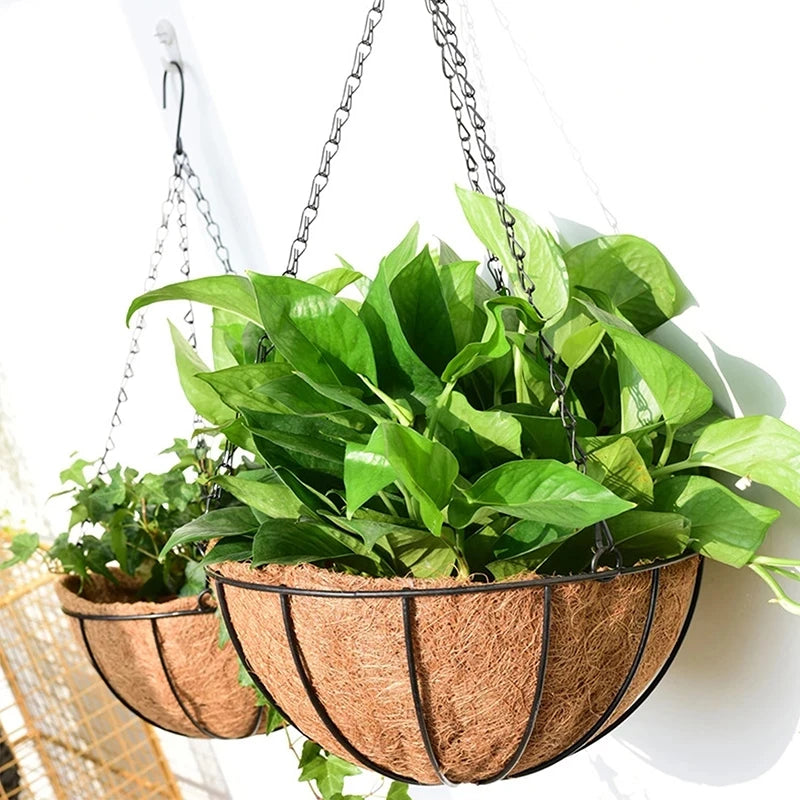 Hot Selling Outdoor Decoration Wall Hanging Flower Basket Iron Flowerpot 8''-16'' Coconut Palm Hanging Basket