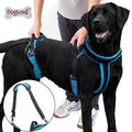 Pet Harness Dog Sling Suspension Strap for Rehabilitation Walking Lift Support Harness