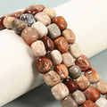 Real Rectangle Cuboid Shape Bead Natural Multi-color Coral Fossil Stone Beads for Jewelry Necklace Making 8x10-8x12mm