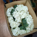 Top Quality N-0316 Artificial Silk 5 Heads Hydrangea Flower Bouquet for Home Wedding Decoration