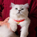 Wholesale Stocked Lucky Cute Hollow Pendant Matching Cat Necklace