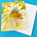 Eco Friendly Crystalcode Transparent Stickers Vinyl Clear Sheet A4 Kiss Cut Sheets Custom Sticker Paper for Inkjet Printer