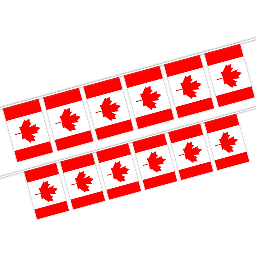 Wholesale 5.5x8 Inches Drapeau Du Canada String Bunting Flags for Indoor and Outdoor Decoration(20pcs/set)