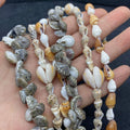 Ocean Sea Style Natural Conch Shell Strand for DIY Bracelet Necklace Jewelry Making