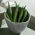 Factory Wholesale Nordic Irregular Matte Grey Ceramic Porcelain Serving Chafing Dish Fruit and Food Bowl for Restaurant