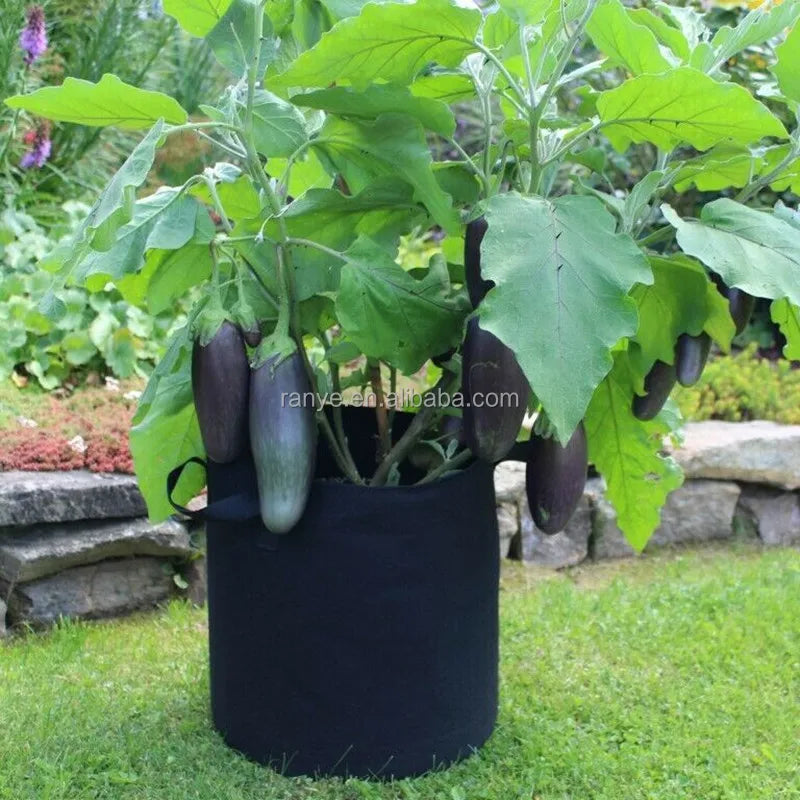Free Samples 5 Gallon Felt Grow Bags Aeration Fabric Pots with Handles Garden Planter for Flower Vegetables