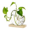 Round Creative Hydroponic Plant Green Dill Office Desktop Glass & Crystal Vases Nordic Wooden Base Flower Vase for Home Decor