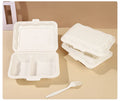 9*6 Inch Eco-friendly Compostable  Disposable Wholesale Cornstarch 3 Compartments  Lunch Box