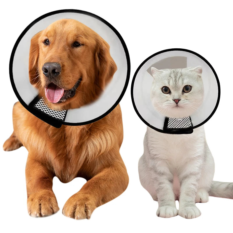 Anti-Bite Lick Wound Healing Safety Practical Plastic E-Collar Adjustable Dog Cat Cone Collar Protective Collar for Wholesale