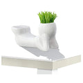 Wholesale Ceramic Air Plant Holder Cute Air Planter Table Top Display Planters for DIY Planting Home Office Decoration Supplies