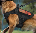 Personalized Dog Harness No Pull Breathable Pet Harness Vest for Small Large Dog Service Dog Vest Harness
