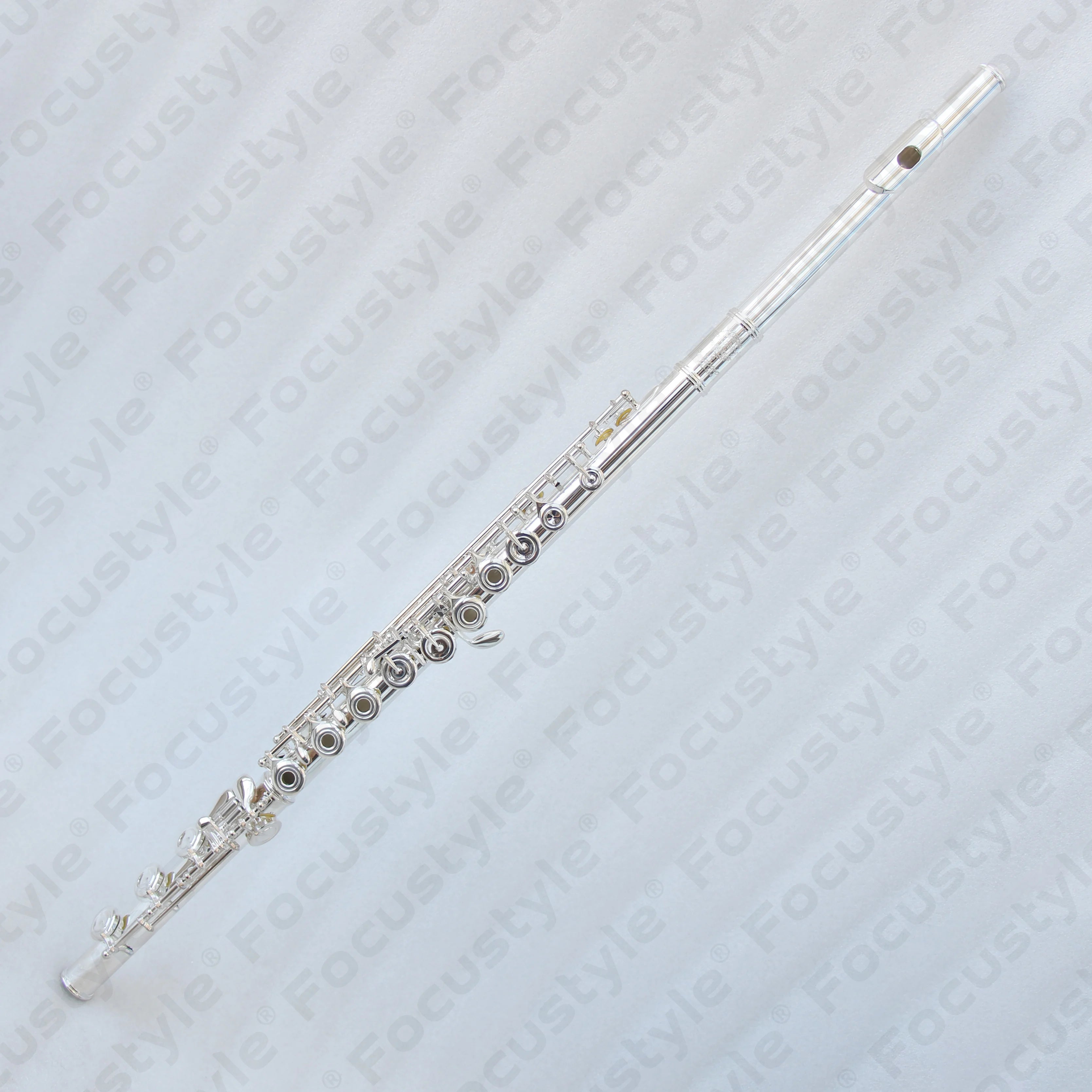 Professional Silver Flute with French Key Transversal Concert B-Foot Joint and Open Holes for Flute Players