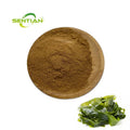 Supply Herbal Laminaria Japonica Seaweed Extract Natural Kelp Extract Powder