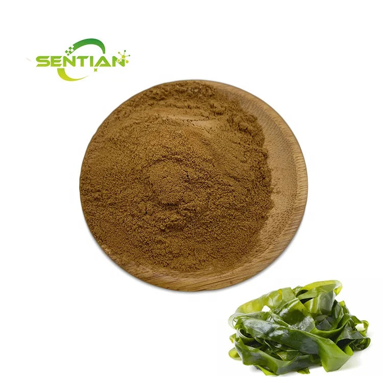 Supply Herbal Laminaria Japonica Seaweed Extract Natural Kelp Extract Powder