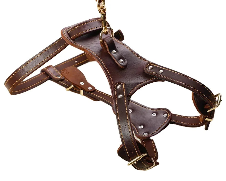 DADAPET Heavy Duty Soft Thick Leather Harness Adjustable LED Lights Feather Decoration Large Dogs (German Shepherds) Solid Model